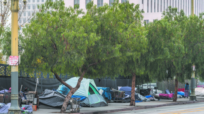 A row of tents on a city sidewalk as well as shopping carts and garbage.. A high rise office building in the background.