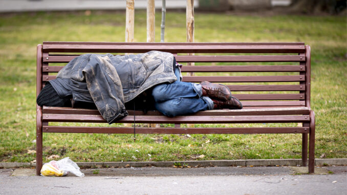 A person asleep on a park bench