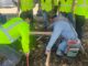 Santiago Pino providing hands-on cement masonry training to ValleyBuild participants.