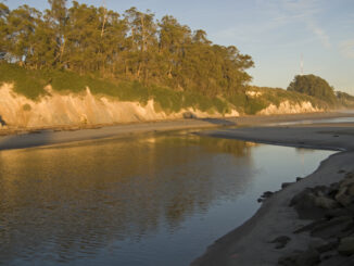 Still water in the Goleta Slough along the California Coast reflecting the water afternoon light
