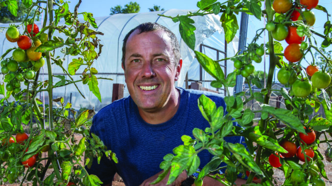 Man smiles while in his greenhouse. His face is surrounded by his tomato plants.