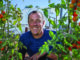 Man smiles while in his greenhouse. His face is surrounded by his tomato plants.